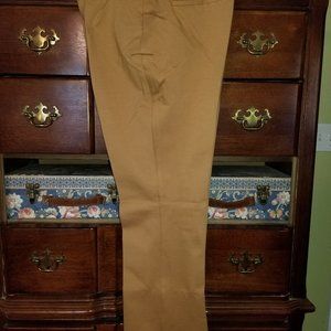 Express High Waisted Luxe Comfort Knit Bootcut Columnist Pant NWT